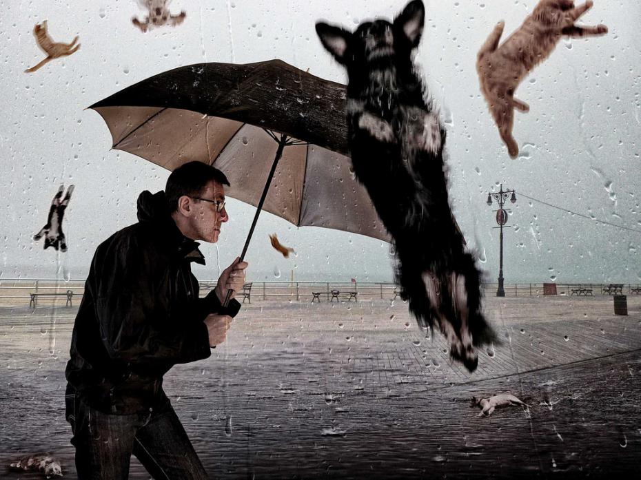 it-s-raining-cats-and-dogs